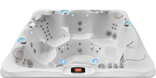Arctic White Shell