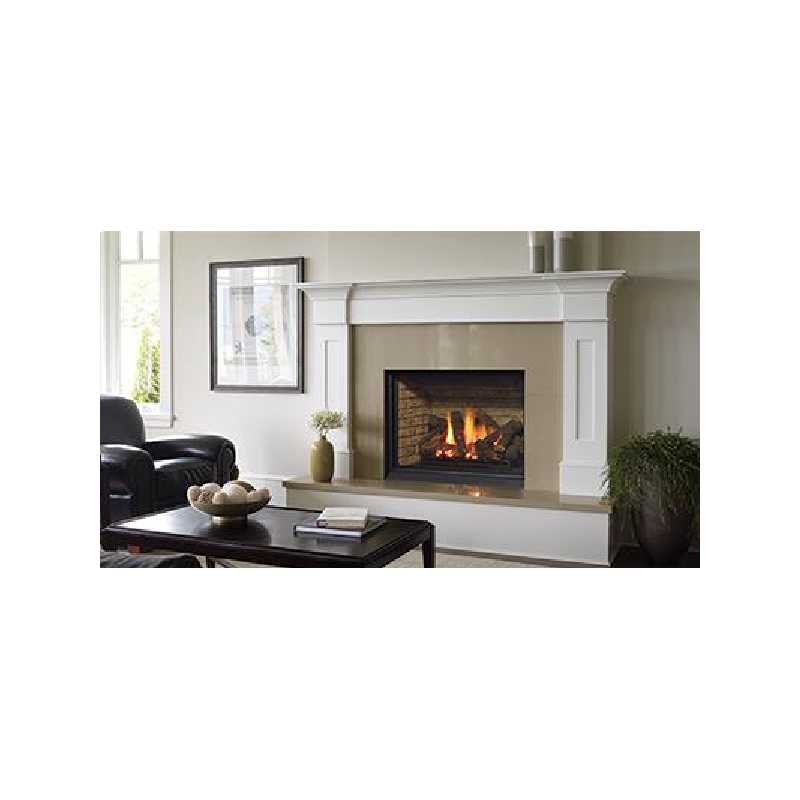 B36xtce Gas Fireplace, Traditional Gas Fireplaces, Grills, Miami FL