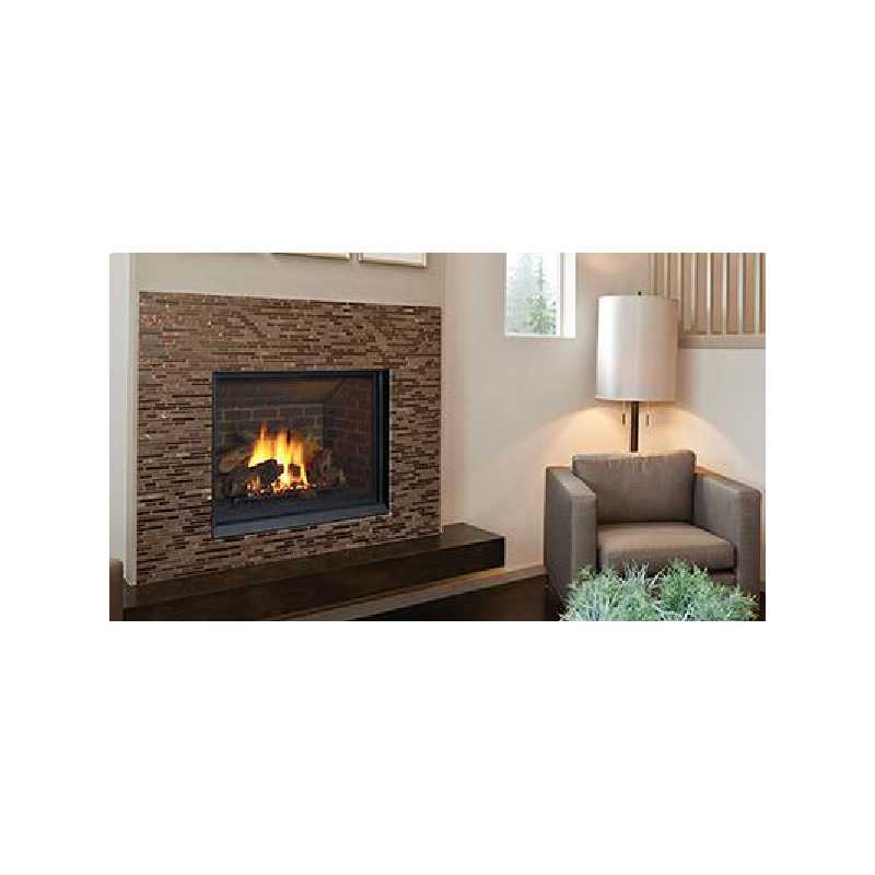 B41xtce Gas Fireplace, Traditional Gas Fireplaces, Grills, Miami FL