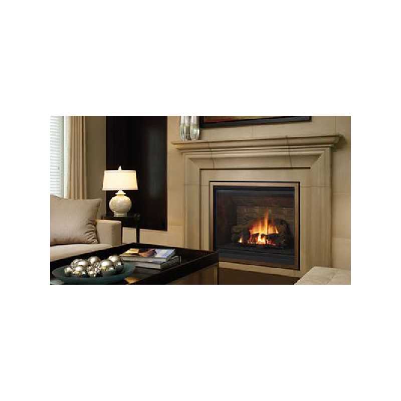 B41xte Gas Fireplace, Traditional Gas Fireplaces, Grills, Miami FL