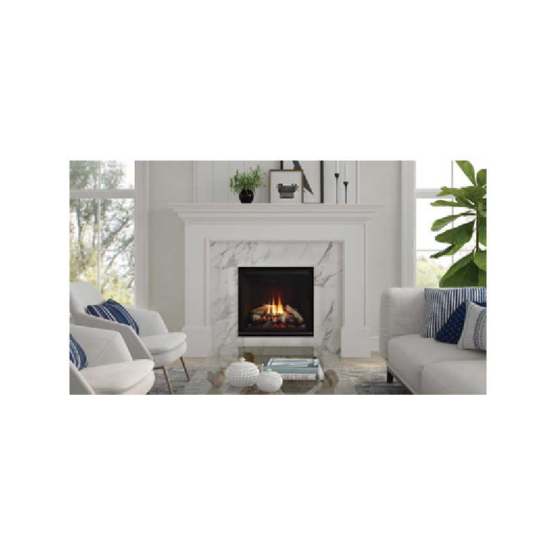 G600ec Gas Fireplace, Traditional Gas Fireplaces, Grills, Miami FL