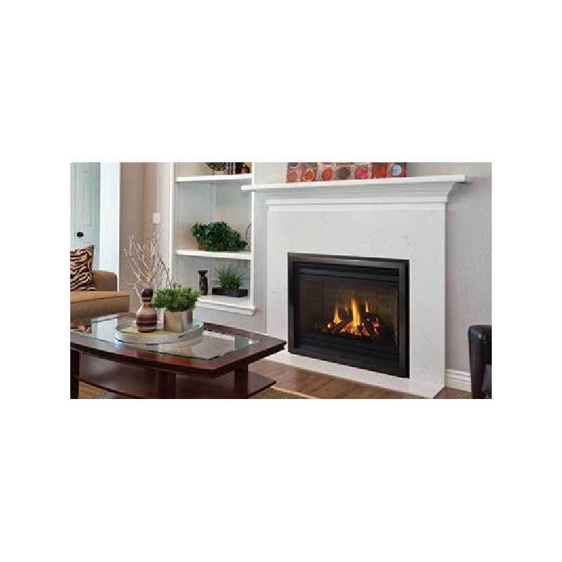 P36 Gas Fireplace, Traditional Gas Fireplaces, Grills, Miami FL
