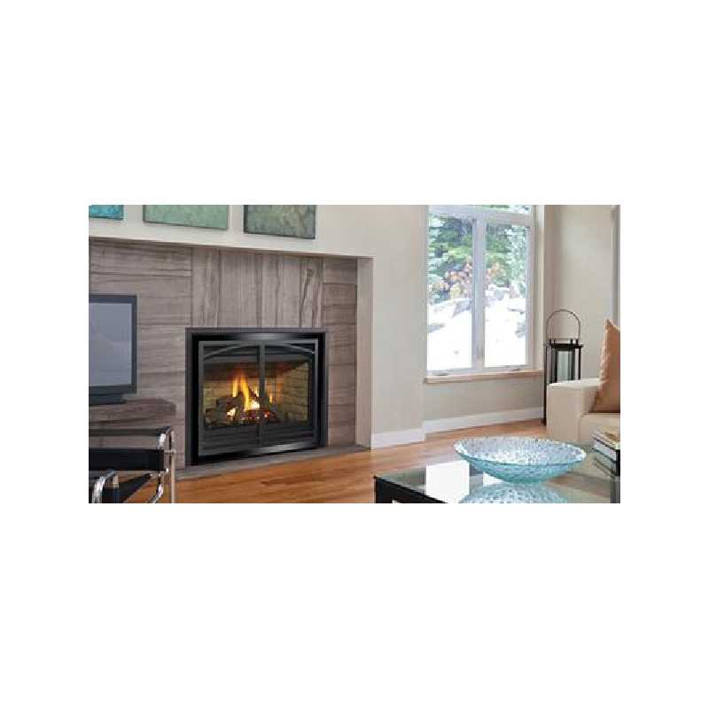 P36d Gas Fireplace, Traditional Gas Fireplaces, Grills, Miami FL