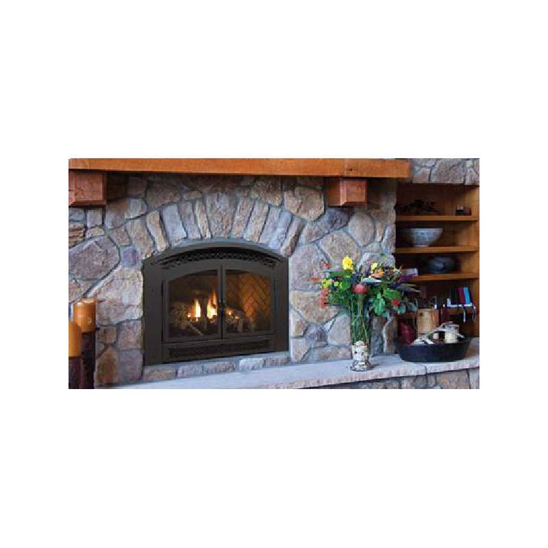 P90e Gas Fireplace, Traditional Gas Fireplaces, Grills, Miami FL